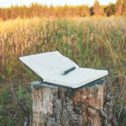poetry journal open outdoors, prompts for writing poetry